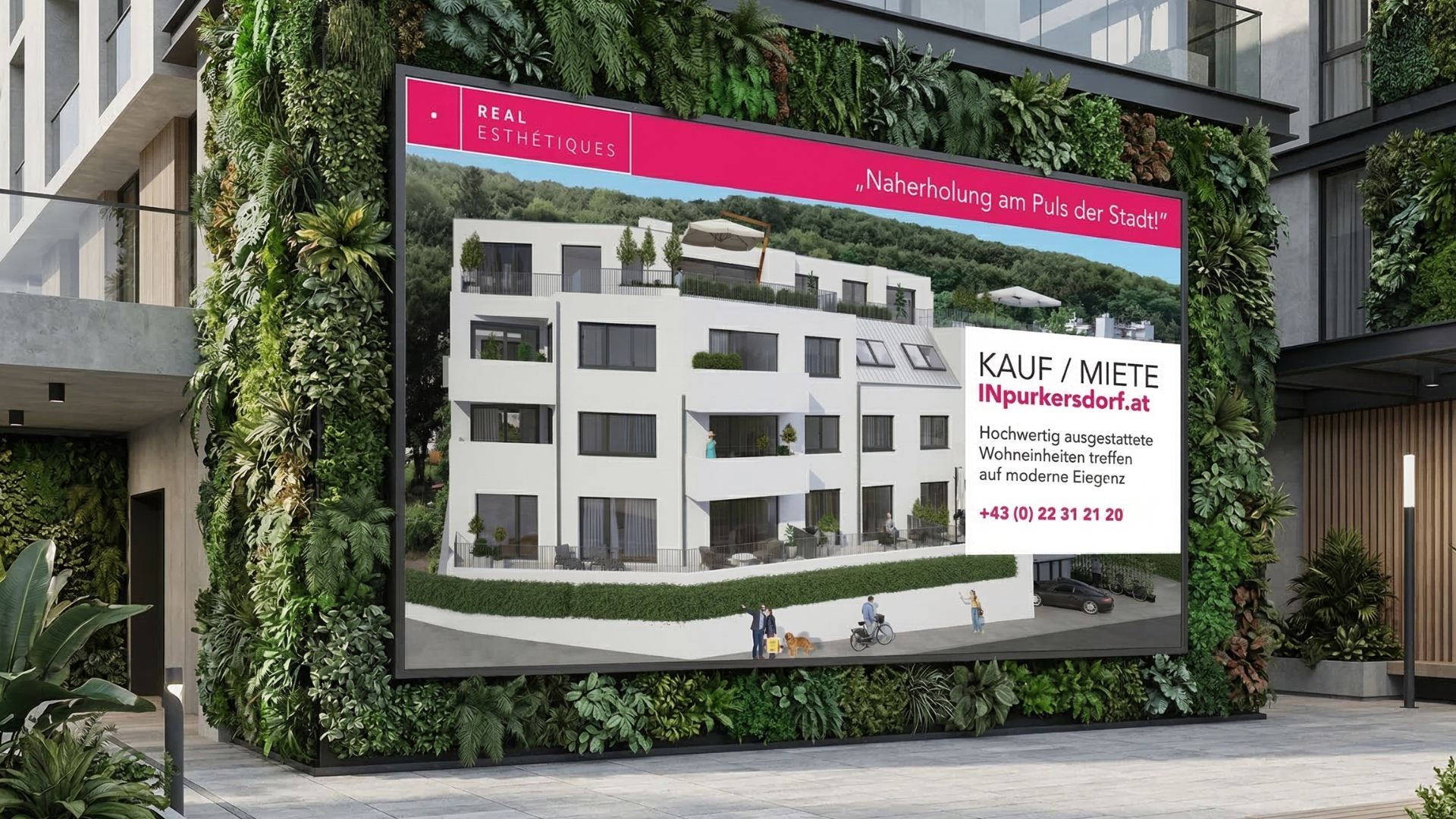 Emily Design Portfolio